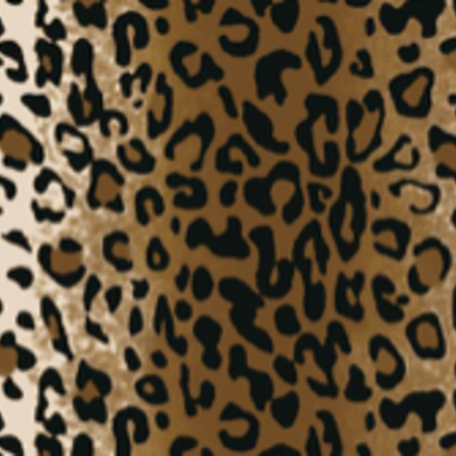 Leopard Print 
